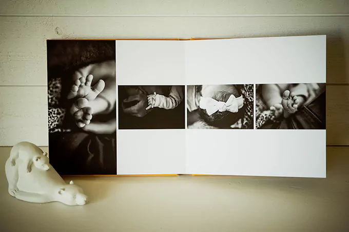 Album-famille-ouvert